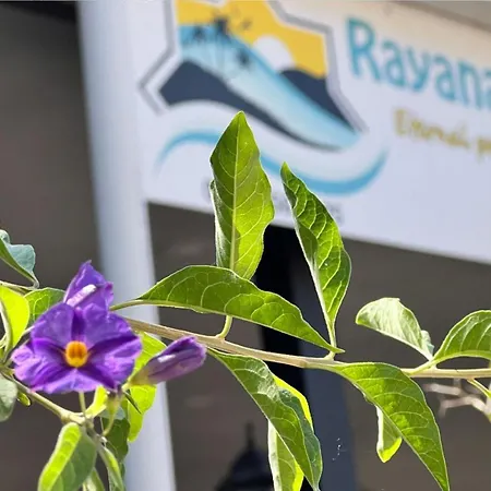 Rayana Alojamento de Acomodação e Pequeno-almoço *