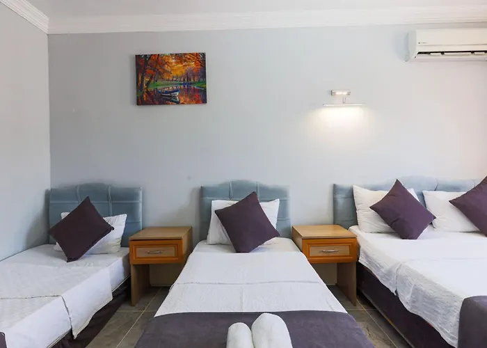 Rayana 住宿加早餐酒店 *