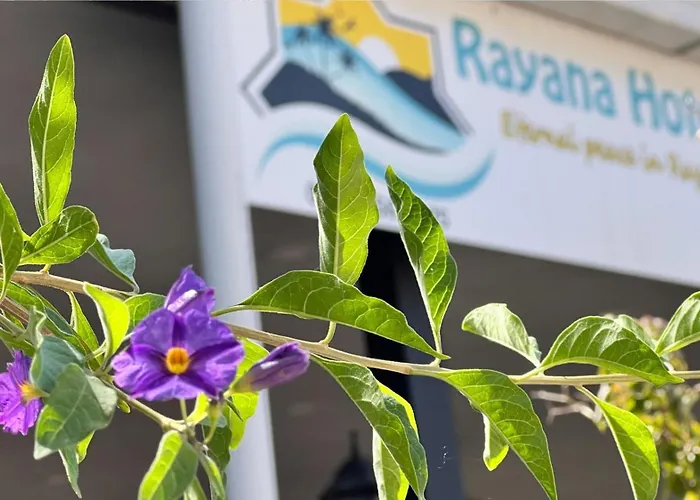 Rayana Couette-café *